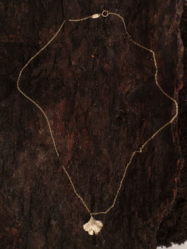 img_01KMFTWJPP5HVEXPFJKT4BQ7SP