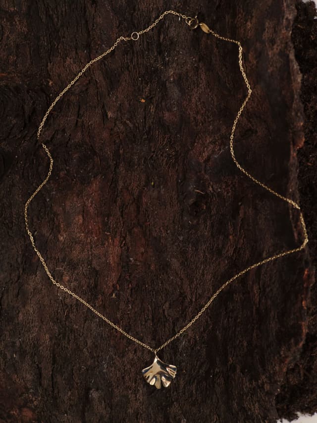 img_01KMFTWJPP9ENJT7Z25XDSQ27W