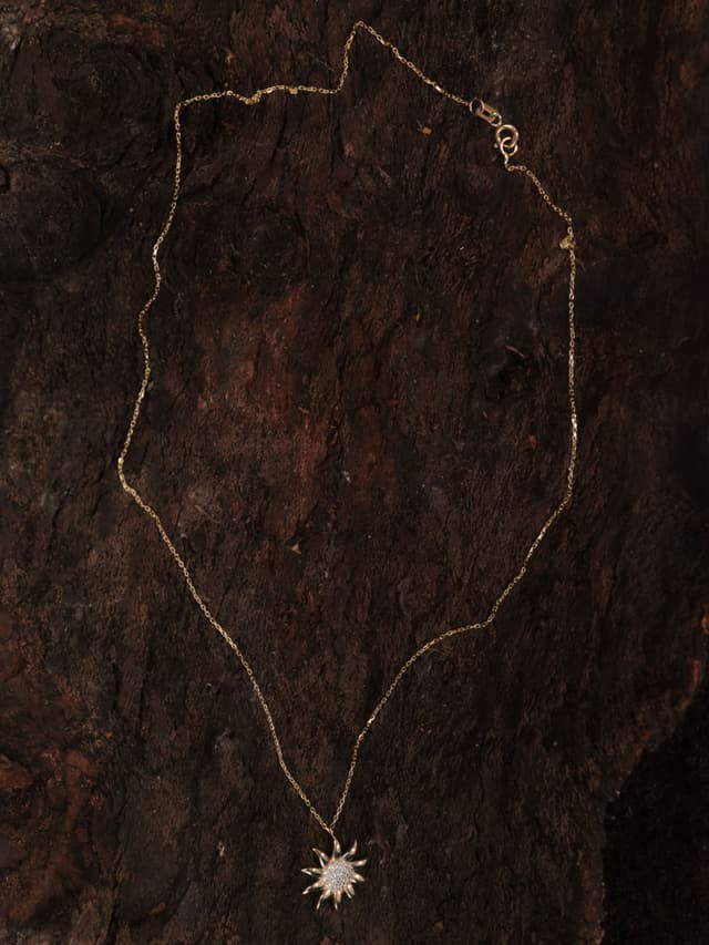 img_01KMFTBGDT31M3QX50BNYX7N79