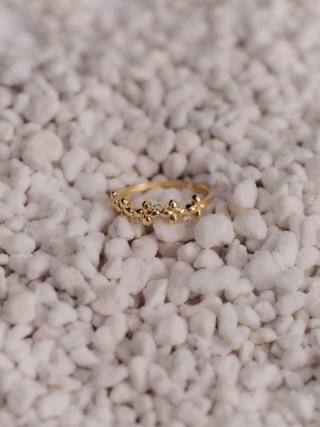 img_01KMFXVQXDFMMWN9E5H440164M