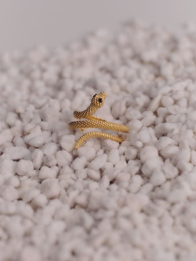 img_01KMFWT6D7ZWAF65AKWZH8J6TR